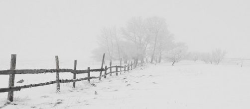 Arriva il freddo a partire dal 15 gennaio.