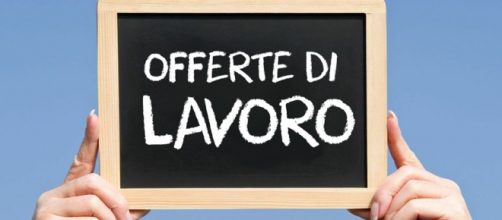 Offerte di Lavoro 2016: Primadonna, Lindt, Pam