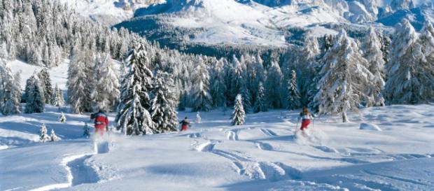Il bianco della neve e l'azzurro del cielo. Il bianco della neve e l'azzurro del cielo.