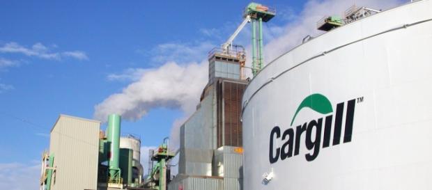 Vaga de Analista de Transporte para a Cargill Vaga de Analista de Transporte para a Cargill