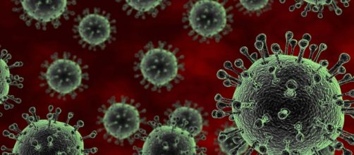 L'influenza del 2016 sarà a bassa intensità.