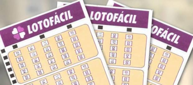 Sorteio da Lotofácil 1310 foi realizado no dia 13 Sorteio da Lotofácil 1310 foi realizado no dia 13