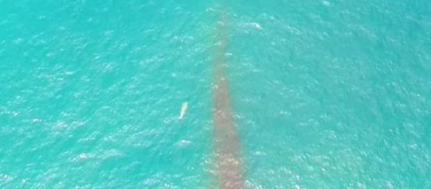 Ufo in Cile sopra l'Oceano Pacifico Ufo in Cile sopra l'Oceano Pacifico