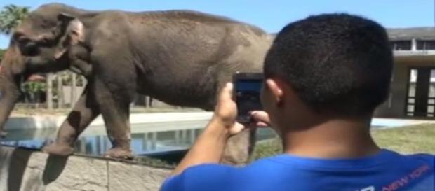 Único zoológico carioca foi fechado para o público Único zoológico carioca foi fechado para o público