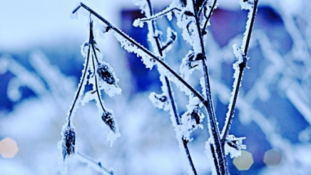 I tre giorni della Merla del 2016