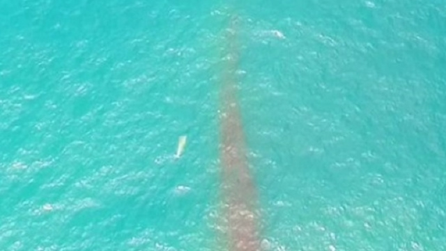 Ufo in Cile sopra l'Oceano Pacifico