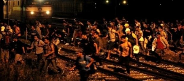 Un grup de 60 de imigranți a pătruns în România Un grup de 60 de imigranți a pătruns în România