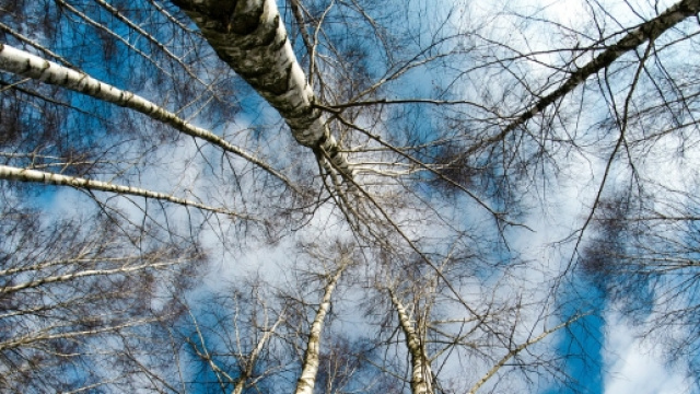 Previsioni meteo inverno 2016 mese febbraio