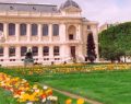 París: conociendo el Jardín des Plantes