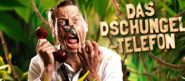 104.6 RTL parodiert die Dschungelshow 104.6 RTL parodiert die Dschungelshow