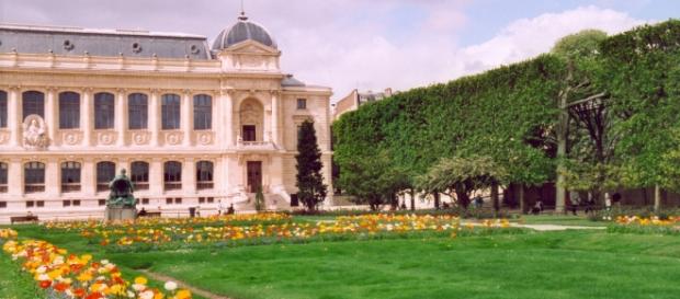 Vista del jardín botánico y el museo Vista del jardín botánico y el museo