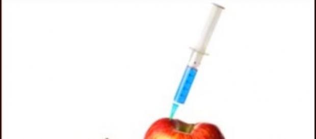 Alimentos modificados genéticamente Alimentos modificados genéticamente