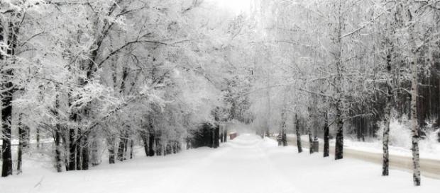Neve in Italia, foto di meteolive Neve in Italia, foto di meteolive