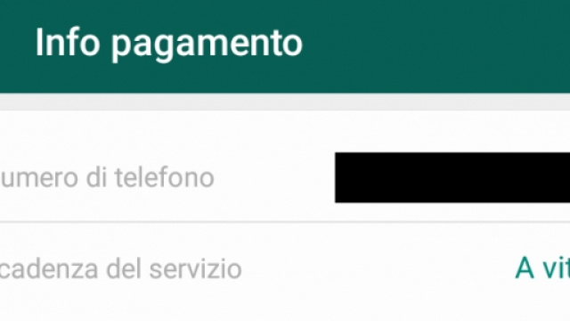 Gratis a vita! Giubilo tra gli utenti Android.