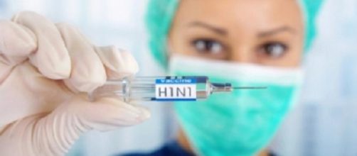 H1N1, il codice identificativo della suina