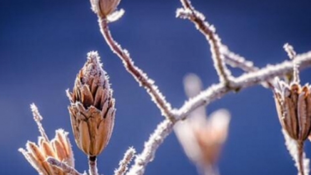 Previsioni del tempo per gennaio 2016