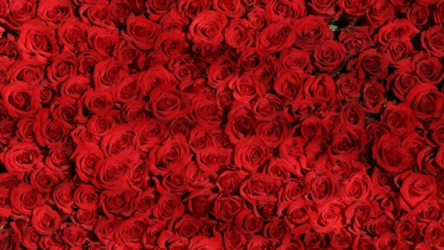 Offerte viaggi San Valentino 2016