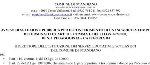 Assunzione di un pedagogista a TD