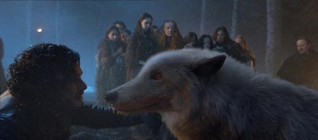 Jon Nieve y Fantasma se reencuentran Jon Nieve y Fantasma se reencuentran