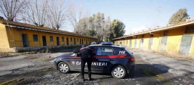 O româncă a născut într-un grajd în Italia O româncă a născut într-un grajd în Italia