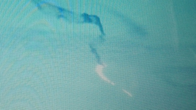 Ufo: striscia di luce a Calgary in Canada