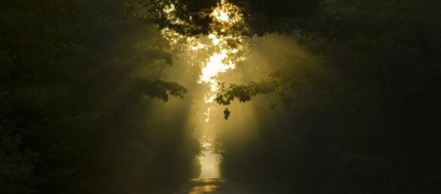 Foto preluata de pe Taina Gandului Foto preluata de pe Taina Gandului