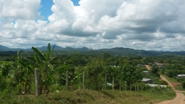 Nelle zone umide prolifereno le zanzare