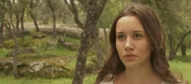 Il Segreto spoiler 1-7 febbraio 2016 Il Segreto spoiler 1-7 febbraio 2016