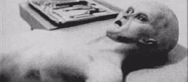 La presunta foto di un alieno morto La presunta foto di un alieno morto