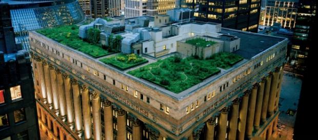 Imagen: Chicago City Hall | National Geographics Imagen: Chicago City Hall | National Geographics