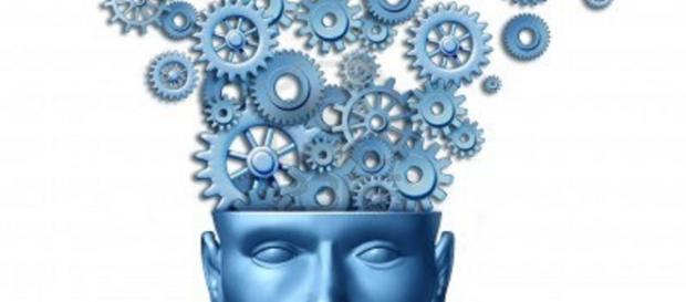 Curiosidades que te encantarán sobre el cerebro Curiosidades que te encantarán sobre el cerebro
