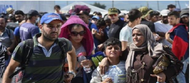 Germania recunoaște înfrângerea Germania recunoaște înfrângerea