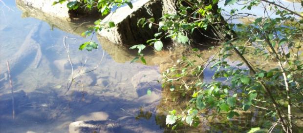 La necessità di contenere le risorse naturali La necessità di contenere le risorse naturali