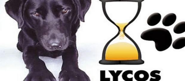 Lycos sur le retour .. gagnant ? Lycos sur le retour .. gagnant ?