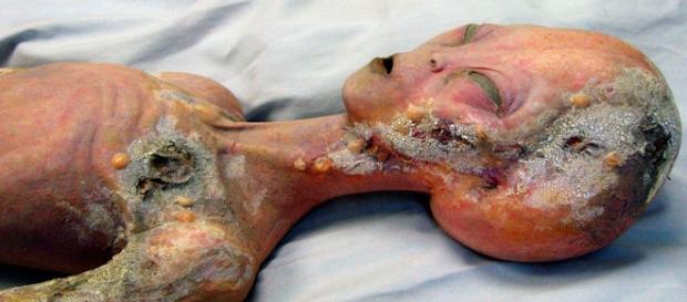 Roswell alien museum display - Photo flikr CC2.0 Roswell alien museum display - Photo flikr CC2.0
