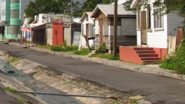 Proliferazione di Zika nelle acque stagnanti