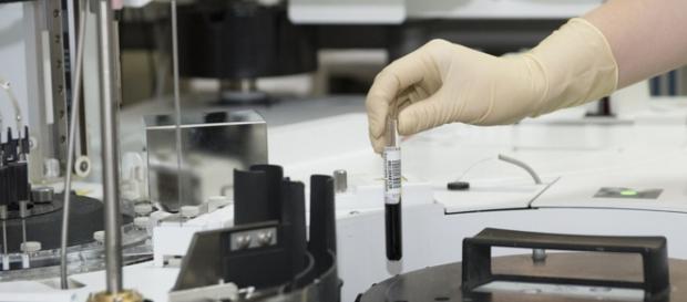 Zika virus e sperimentazione genetica Zika virus e sperimentazione genetica