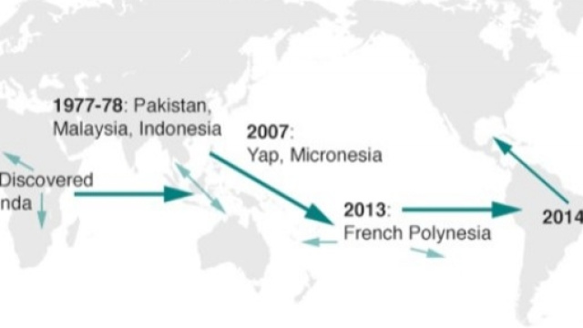 Diffusione di Zika a partire dall'Africa