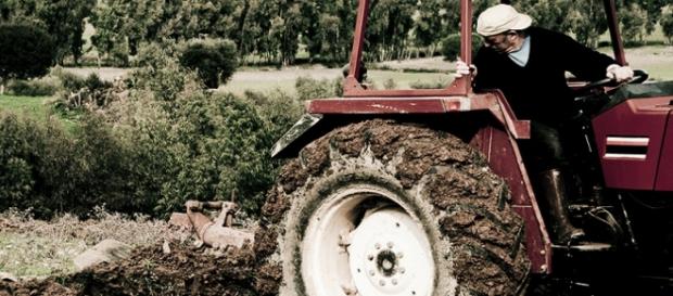 El sector de la agricultura crece en España. El sector de la agricultura crece en España.