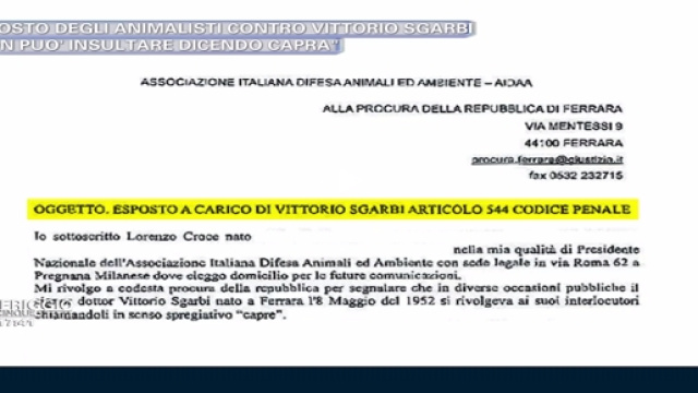 L'esposto dell'AIDAA contro Sgarbi