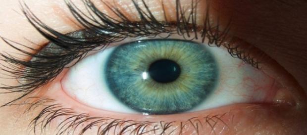 O que a cor dos olhos revela sobre você O que a cor dos olhos revela sobre você