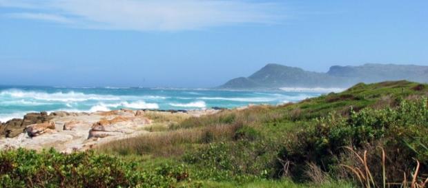 Scarborough scene near Cape Town. By J Flowers Scarborough scene near Cape Town. By J Flowers