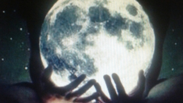 Il nostro universo &egrave; nelle mani del destino