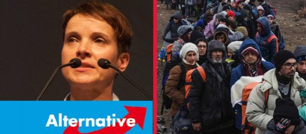 Frauke Petry, liderul Alternativei Pentru Germania Frauke Petry, liderul Alternativei Pentru Germania