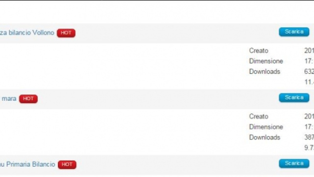 Bilanci delle competenze già compilati