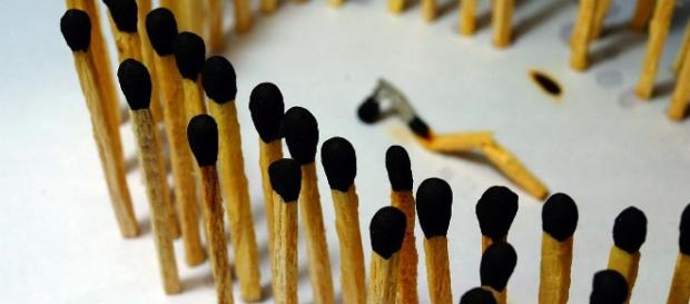 Zündstoff Dschungelcamp als Spiegelbild Zündstoff Dschungelcamp als Spiegelbild
