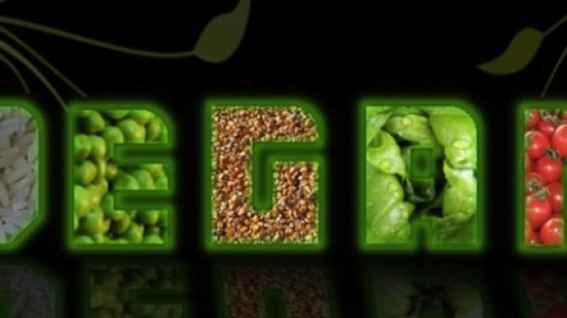 Dieta vegana si, ma con attenzione.