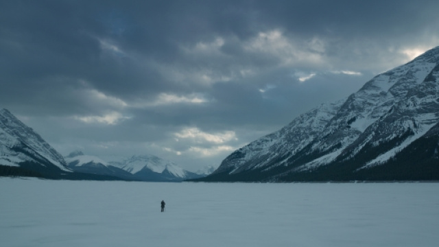 Fotogramma de The revenant, Fotografia di Lubezki