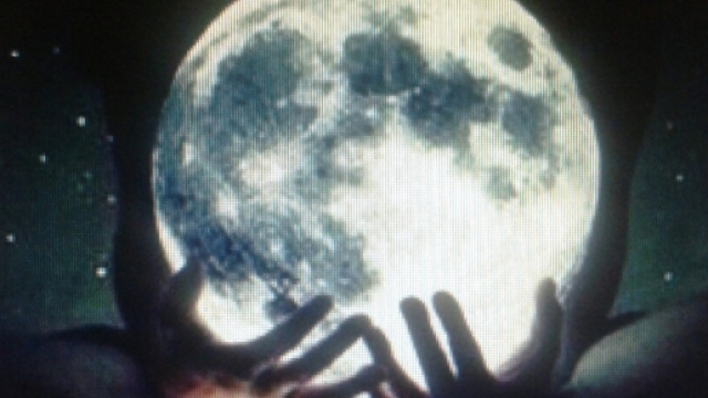 Il nostro destino nelle mani del mondo