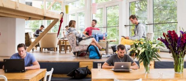 Crescimento de coworkers para os próximos anos. Crescimento de coworkers para os próximos anos.